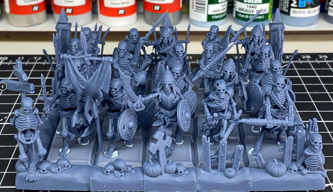 Skeleton Warriors - Swords & Shields