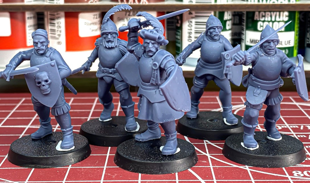 Sunland Militia - Swordsmen