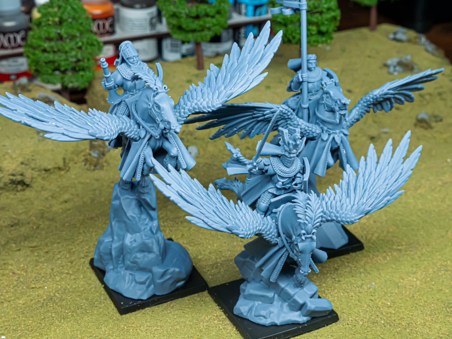 Knigths on Pegasus